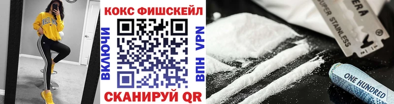 Купить закладки  Каспийск  Кокаин Fish Scale 